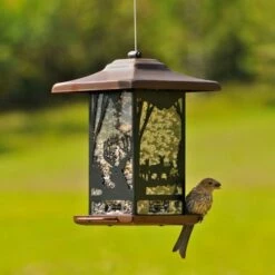 Perky-Pet® Wilderness Lantern Wild Bird Feeder