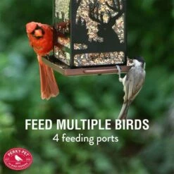 Perky-Pet® Wilderness Lantern Wild Bird Feeder 15 Perky-Pet® Wilderness Lantern Wild Bird Feeder -birds Shop 8504 info2