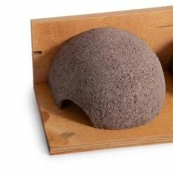 House Martin Nest (Double) -birds Shop 90083 03