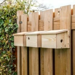 House Sparrow Multi Nest Box 34mm -birds Shop 901670120 901690120 901680120 house sparrow multi box sw low res 9474 1