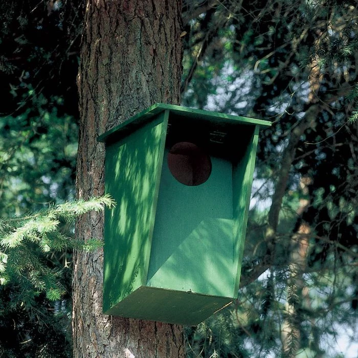 Tawny Owl, Stock Dove And Jackdaw Nest Box 2 Tawny Owl, Stock Dove And Jackdaw Nest Box - Image 2