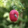 WoodStone® Malaga 32mm Nest Box (Red)