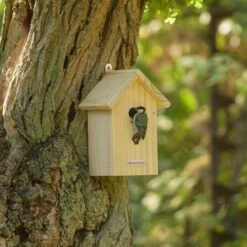 National Trust Build-Your-Own 32mm Nest Box -birds Shop 905110621 4