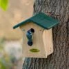 Bonaire 28mm Nest Box