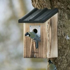 birds Shop -birds Shop 90612