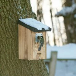 Travis 32mm Nest Box -birds Shop 906120119 nestkast travis