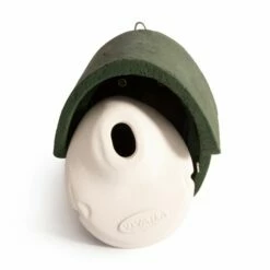 WoodStone® Alicante 32mm Oval Hole Nest Box (Green) 9 WoodStone® Alicante 32mm Oval Hole Nest Box (Green) -birds Shop 90673 03