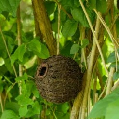 Machico Lounge Roosting Nest