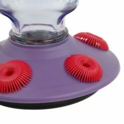 Perky-Pet® Lavender Field Top Fill Hummingbird Feeder -birds Shop 9101 2 d 5