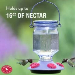 Perky-Pet® Lavender Field Top Fill Hummingbird Feeder -birds Shop 9101 ig6 1