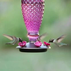 Perky-Pet® Diamond Wine Top-Fill Glass Hummingbird Feeder -birds Shop 9102 2 d 11