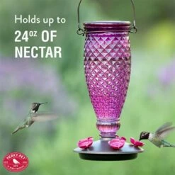 Perky-Pet® Diamond Wine Top-Fill Glass Hummingbird Feeder -birds Shop 9102 ig6 1