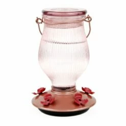 Perky-Pet® Rose Gold Top-Fill Glass Hummingbird Feeder -birds Shop 9104 2 d 5