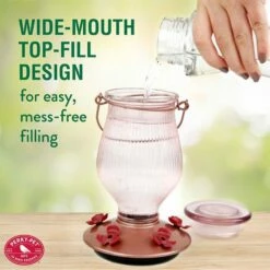 Perky-Pet® Rose Gold Top-Fill Glass Hummingbird Feeder -birds Shop 9104 ig1 1