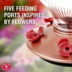 Perky-Pet® Rose Gold Top-Fill Glass Hummingbird Feeder -birds Shop 9104 ig2 1