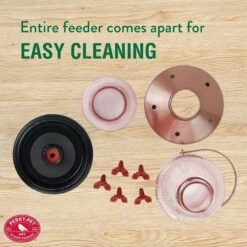 Perky-Pet® Rose Gold Top-Fill Glass Hummingbird Feeder -birds Shop 9104 ig5 1