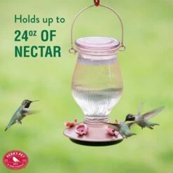 Perky-Pet® Rose Gold Top-Fill Glass Hummingbird Feeder -birds Shop 9104 ig6 1