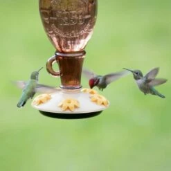 Perky-Pet® Sugar Maple Top-Fill Glass Hummingbird Feeder -birds Shop 9105 2 d 12