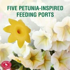 Perky-Pet® Sugar Maple Top-Fill Glass Hummingbird Feeder -birds Shop 9105 ig2 1