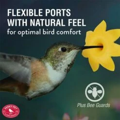 Perky-Pet® Sugar Maple Top-Fill Glass Hummingbird Feeder -birds Shop 9105 ig3 1