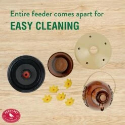 Perky-Pet® Sugar Maple Top-Fill Glass Hummingbird Feeder -birds Shop 9105 ig5 1