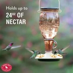 Perky-Pet® Sugar Maple Top-Fill Glass Hummingbird Feeder -birds Shop 9105 ig6 1