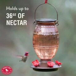 Perky-Pet® Prohibition Top-Fill Glass Hummingbird Feeder 22 Perky-Pet® Prohibition Top-Fill Glass Hummingbird Feeder -birds Shop 9106 ig6
