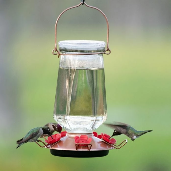 Perky-Pet® Crystal Top-Fill Glass Hummingbird Feeder 1 Perky-Pet® Crystal Top-Fill Glass Hummingbird Feeder
