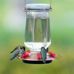 Perky-Pet® Crystal Top-Fill Glass Hummingbird Feeder 25 Perky-Pet® Crystal Top-Fill Glass Hummingbird Feeder -birds Shop 9109 2 11 698