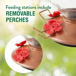 Perky-Pet® Crystal Top-Fill Glass Hummingbird Feeder 17 Perky-Pet® Crystal Top-Fill Glass Hummingbird Feeder -birds Shop 9109 2 info2