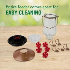 Perky-Pet® Crystal Top-Fill Glass Hummingbird Feeder 20 Perky-Pet® Crystal Top-Fill Glass Hummingbird Feeder -birds Shop 9109 2 info5