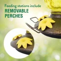 Perky-Pet® Pineapple Top-Fill Hummingbird Feeder 23 Perky-Pet® Pineapple Top-Fill Hummingbird Feeder -birds Shop 9110 2 4