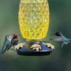 Perky-Pet® Pineapple Top-Fill Hummingbird Feeder 20 Perky-Pet® Pineapple Top-Fill Hummingbird Feeder -birds Shop 9110 2 a 3