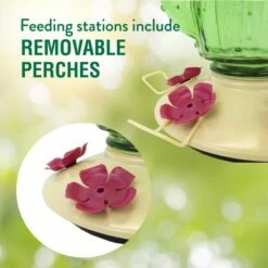 Perky-Pet® Cactus Top-Fill Hummingbird Feeder -birds Shop 9111 2 4 1