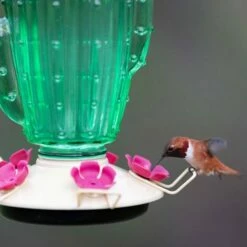 Perky-Pet® Cactus Top-Fill Hummingbird Feeder -birds Shop 9111 2 a 5