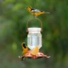 Perky-Pet® Oriole Top-Fill Feeder