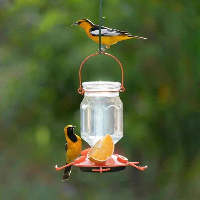 Perky-Pet® Oriole Top-Fill Feeder 1 Perky-Pet® Oriole Top-Fill Feeder