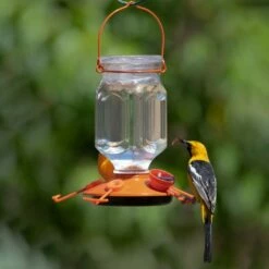 Perky-Pet® Oriole Top-Fill Feeder 29 Perky-Pet® Oriole Top-Fill Feeder -birds Shop 9113 2 a 7