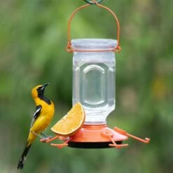 Perky-Pet® Oriole Top-Fill Feeder 30 Perky-Pet® Oriole Top-Fill Feeder -birds Shop 9113 2 a 9