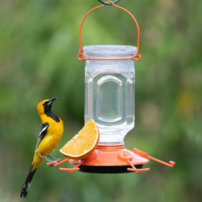 Perky-Pet® Oriole Top-Fill Feeder 15 Perky-Pet® Oriole Top-Fill Feeder - Image 15