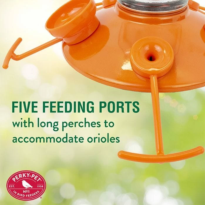 Perky-Pet® Oriole Top-Fill Feeder 4 Perky-Pet® Oriole Top-Fill Feeder - Image 4