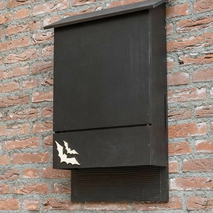 Causa Wooden Bat Box 1 Causa Wooden Bat Box