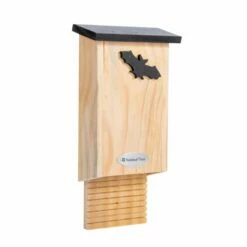 National Trust Glamis Bat Box 6 National Trust Glamis Bat Box -birds Shop 914760421 national trust glamis bat box dv 3894