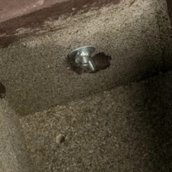 Hazel Dormouse Nest Box 7 Hazel Dormouse Nest Box -birds Shop 915020120 pro dormouse nest box 26mm 9714 qm