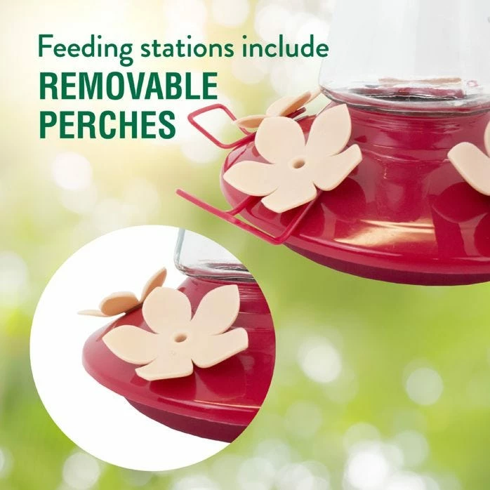 Perky-Pet® Top-Fill Pinch-Waist Glass Hummingbird Feeder - 12 Oz Nectar Capacity 5 Perky-Pet® Top-Fill Pinch-Waist Glass Hummingbird Feeder - 12 Oz Nectar Capacity - Image 5