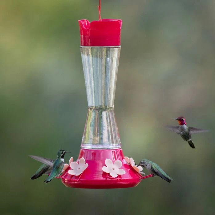 Perky-Pet® Top-Fill Favored Pinch-Waist Glass Hummingbird Feeder - 20 Oz Nectar Capacity 1 Perky-Pet® Top-Fill Favored Pinch-Waist Glass Hummingbird Feeder - 20 Oz Nectar Capacity