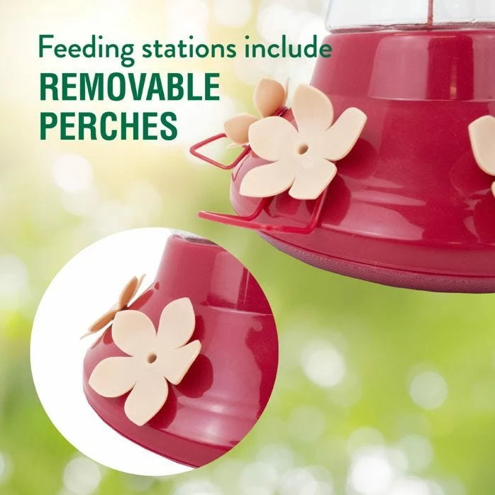 Perky-Pet® Top-Fill Favored Pinch-Waist Glass Hummingbird Feeder - 20 Oz Nectar Capacity 5 Perky-Pet® Top-Fill Favored Pinch-Waist Glass Hummingbird Feeder - 20 Oz Nectar Capacity - Image 5