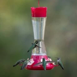Perky-Pet® Top-Fill Favored Pinch-Waist Glass Hummingbird Feeder - 20 Oz Nectar Capacity 35 Perky-Pet® Top-Fill Favored Pinch-Waist Glass Hummingbird Feeder - 20 Oz Nectar Capacity -birds Shop 9202 6 a 2