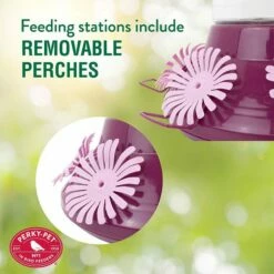 Perky-Pet® Top-Fill Hummer's Favorite Glass Hummingbird Feeder -birds Shop 9203 1sr ig02 1