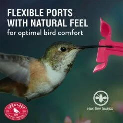 Perky-Pet® Top-Fill Hummer's Favorite Glass Hummingbird Feeder -birds Shop 9203 1sr ig03 1